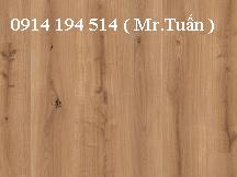 SÀN GỖ TÂN THỊNH Giá bán: 0đ