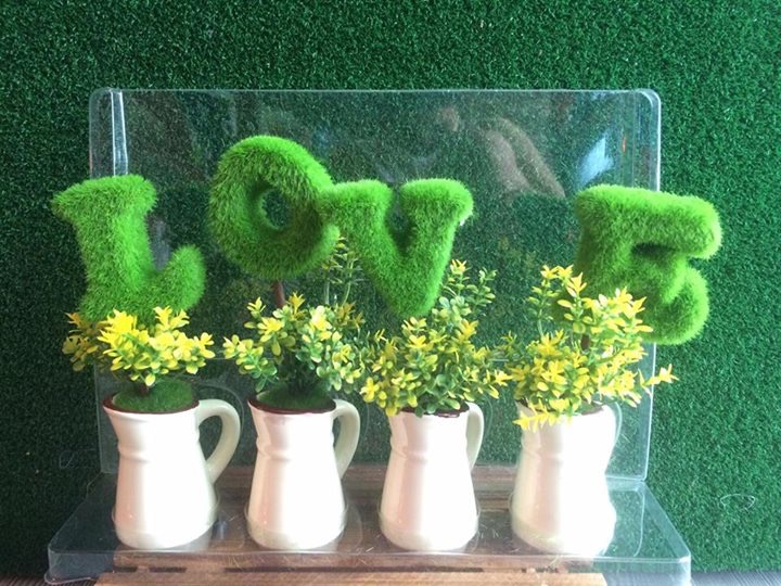 Bộ chậu cây love Giá bán: 250.000đ