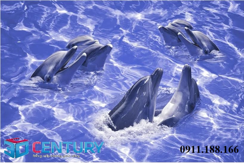 Biến hóa không gian nhà bạn với sàn gạch 3D Century Giá bán: 1.800.000đ