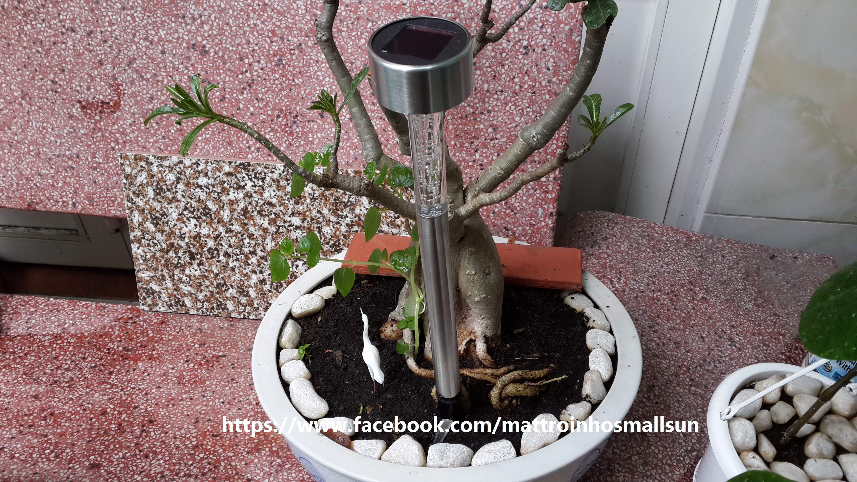 Đèn trang trí sân vườn năng lượng mặt trời L1 Giá bán: 89.000đ