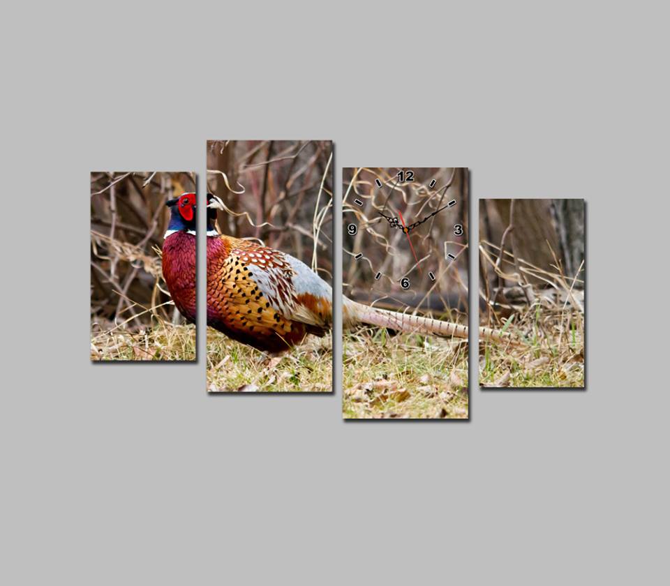 Tranh đồng hồ chủ đề động vật DH1153A (kích thước 110x60cm)  Giá bán: 590.000đ