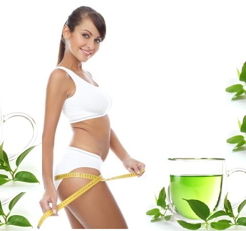 trà giảo cổ lam giúp giảm cân an toàn, hiệu quả trà giảo cổ lam giúp giảm cân an toàn, hiệu quả Giá bán: 68đ