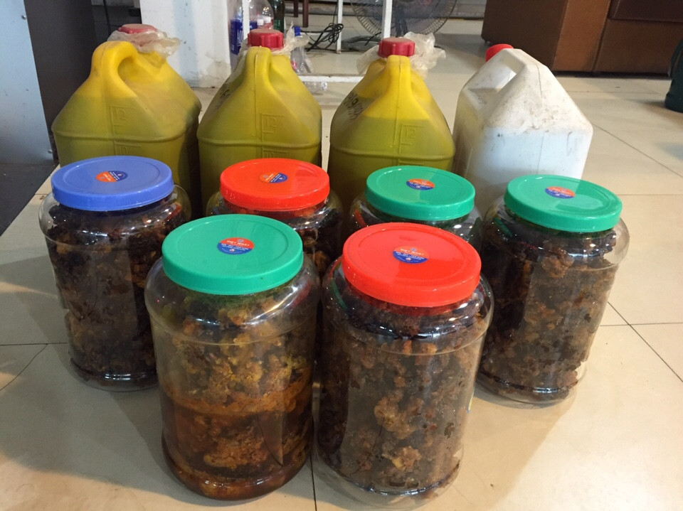 Mật ong rừng Tây Bắc Giá bán: 560.000đ