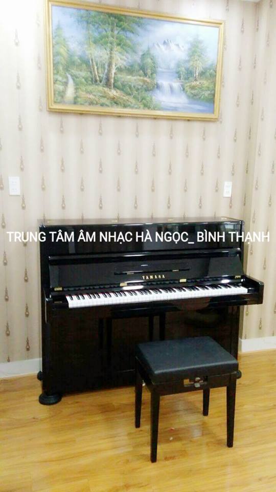 Quận 11, Quận Bình Thạnh chiêu sinh học piano-guitar-thanh nhạc 310k/tháng Giá bán: 310.000đ