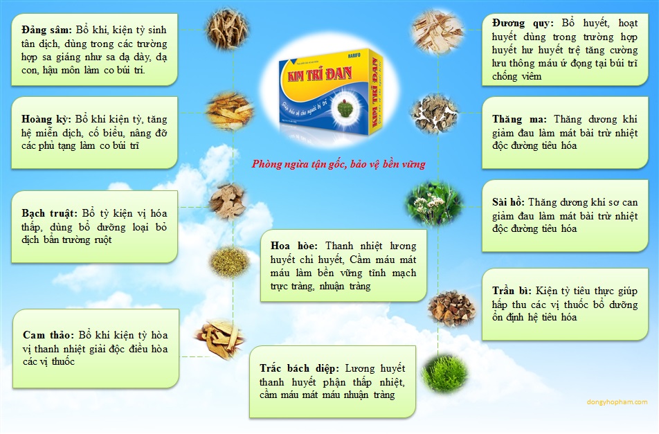 Thực phẩm chức năng Kim Trĩ Đan Giá bán: 120.000đ