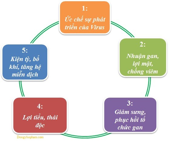 Thực phẩm chức năng Hoàng Mộc Lan Giá bán: 120.000đ