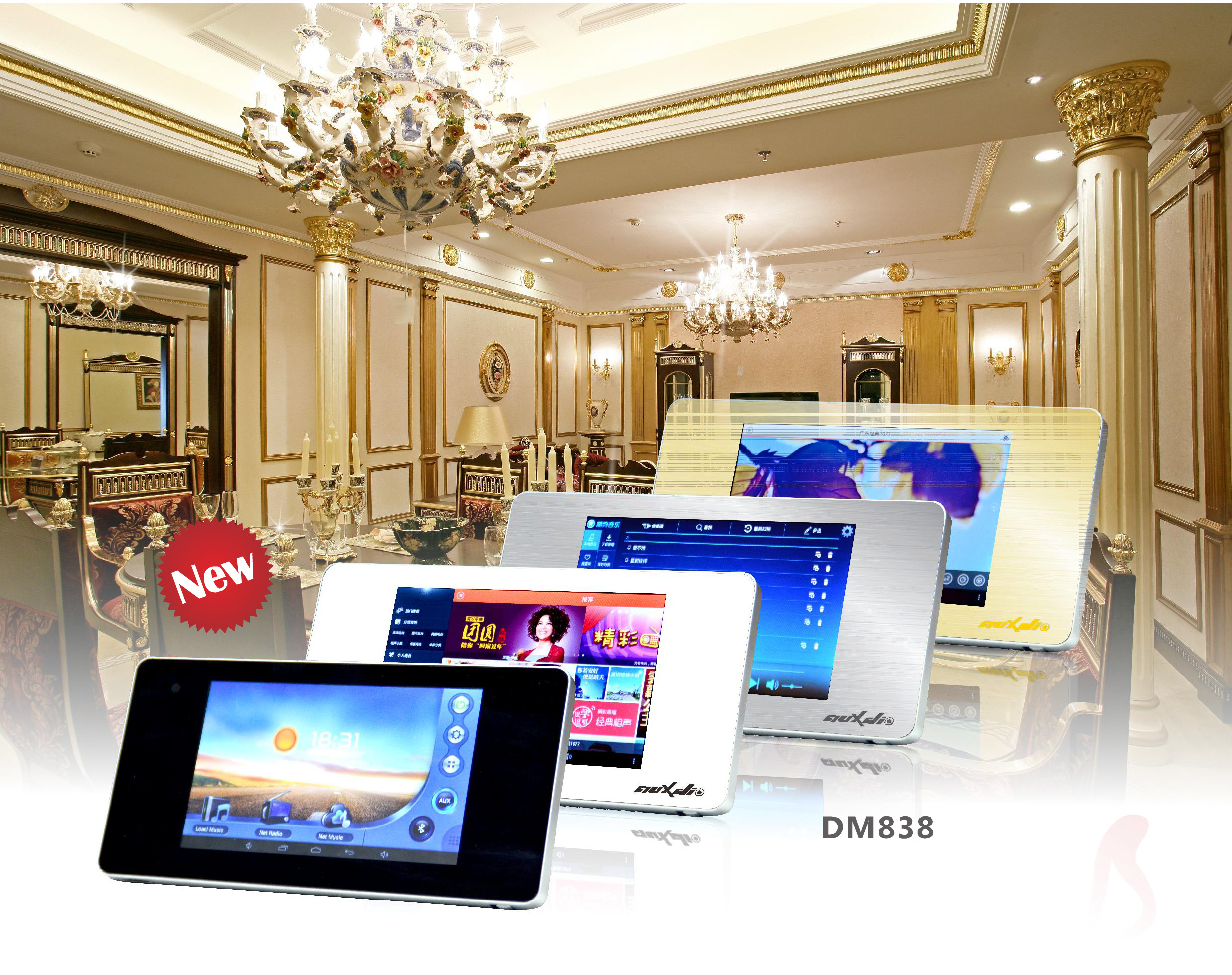 Âm thanh đa vùng phát nhạc DM838 Giá bán: 11.850.000đ