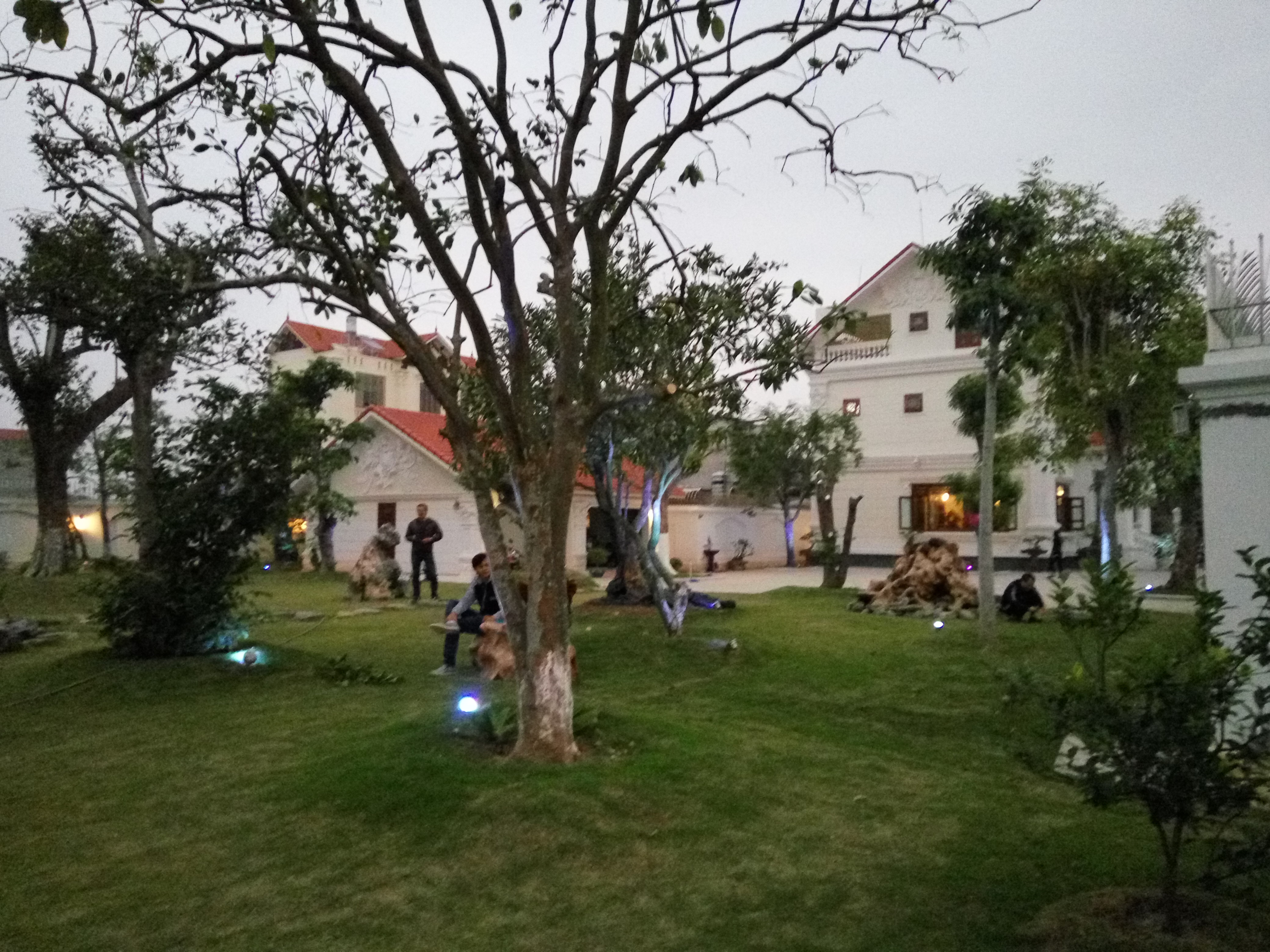 Loa đèn kết hợp trang trí DSC4430 Loa đèn kết hợp trang trí DSC4430 Giá bán: 110đ