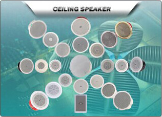 Loa âm trần  Giá bán: 117đ