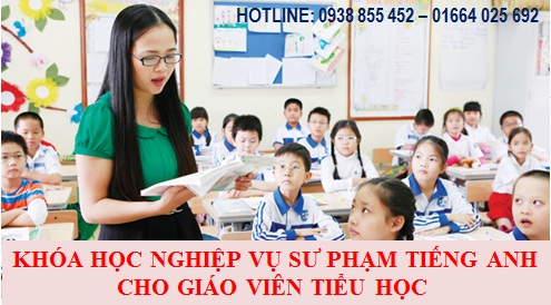 Khóa học nghiệp vụ sư phạm cho giáo viên tiếng Anh tiểu học Giá bán: 3.000.000đ