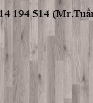 SÀN GỖ TÂN THỊNH SÀN GỖ TÂN THỊNH