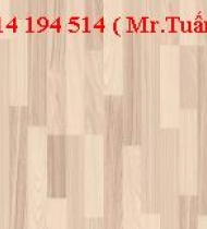 SÀN GỖ TÂN THỊNH SÀN GỖ TÂN THỊNH