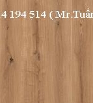 SÀN GỖ TÂN THỊNH SÀN GỖ TÂN THỊNH