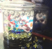 Hồ cá thuỷ tinh