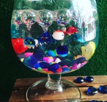 Hồ cá thuỷ tinh