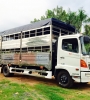 Xe Chở Gà ,Vịt, Heo, Trâu ,Bò - HINO FC 6.4 Tấn trả góp lãi suất thấp