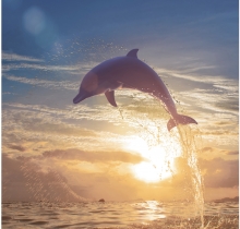 Biến hóa không gian nhà bạn với sàn gạch 3D Century Biến hóa không gian nhà bạn với sàn gạch 3D Century