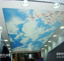 Sàn- tường- Trần 3D