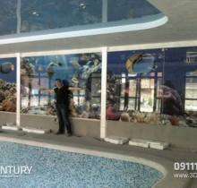 Sàn- tường- Trần 3D