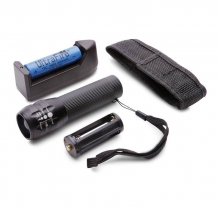 ĐÈN PIN C30 (X2000)