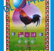 Bao PP dệt đựng gạo 50kg Bao PP dệt đựng gạo 50kg