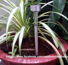 Đèn trang trí sân vườn năng lượng mặt trời L1