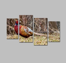 Tranh đồng hồ chủ đề động vật DH1153A (kích thước 110x60cm) 