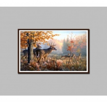  Tranh treo tường phong thủy DH1171A (kích thước 50x80cm) 