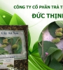Cây an xoa chữa bệnh gan hiệu quả