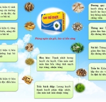 Thực phẩm chức năng Kim Trĩ Đan