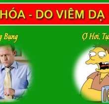 Thực phẩm chức năng Kim Vị Nam