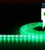 dây led dán xanh lá